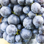 Barolo Nebbiolo