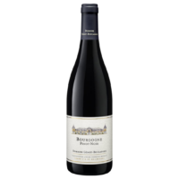 Genot-Boulanger Bourgogne Pinot Noir 2021