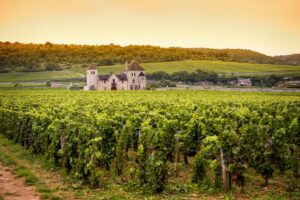 Château-vineyards-Bourgogne-burgundy-shutterstock