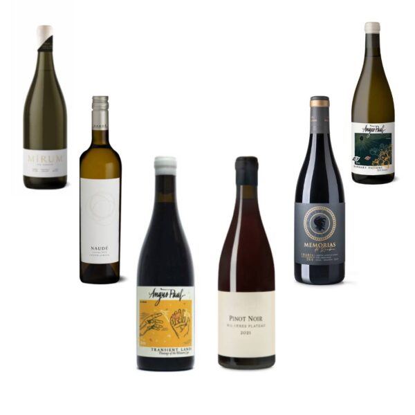 A Mixed Case of 12 Wines - July 2023
