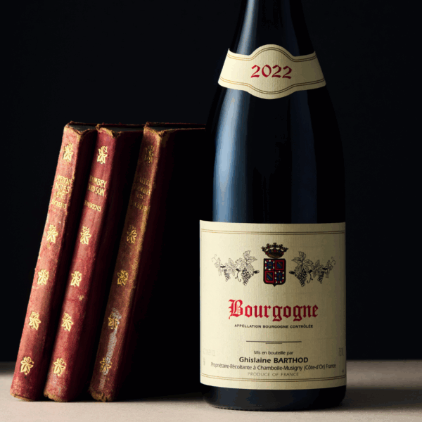 Ghislaine Barthod Bourgogne 2022 Artistic Shot